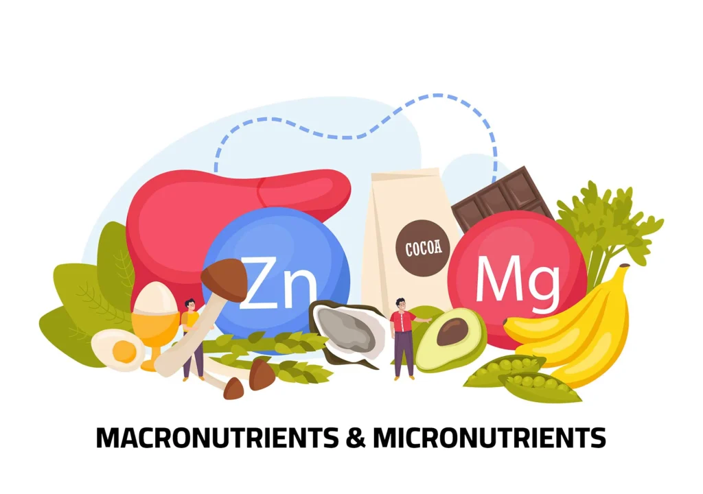 The Difference Between Macronutrients and Micronutrients